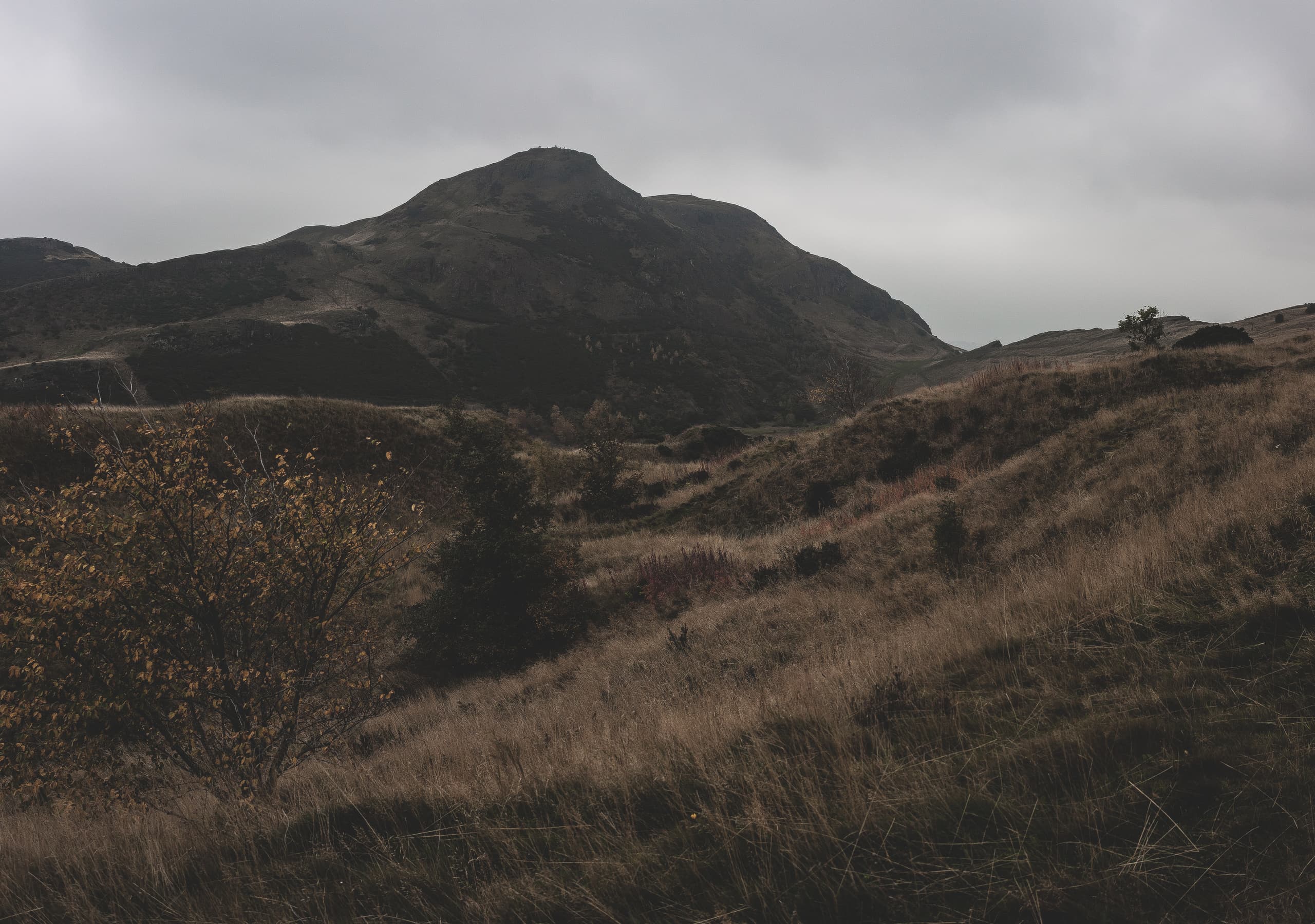 _MG_0263-Pano.jpg