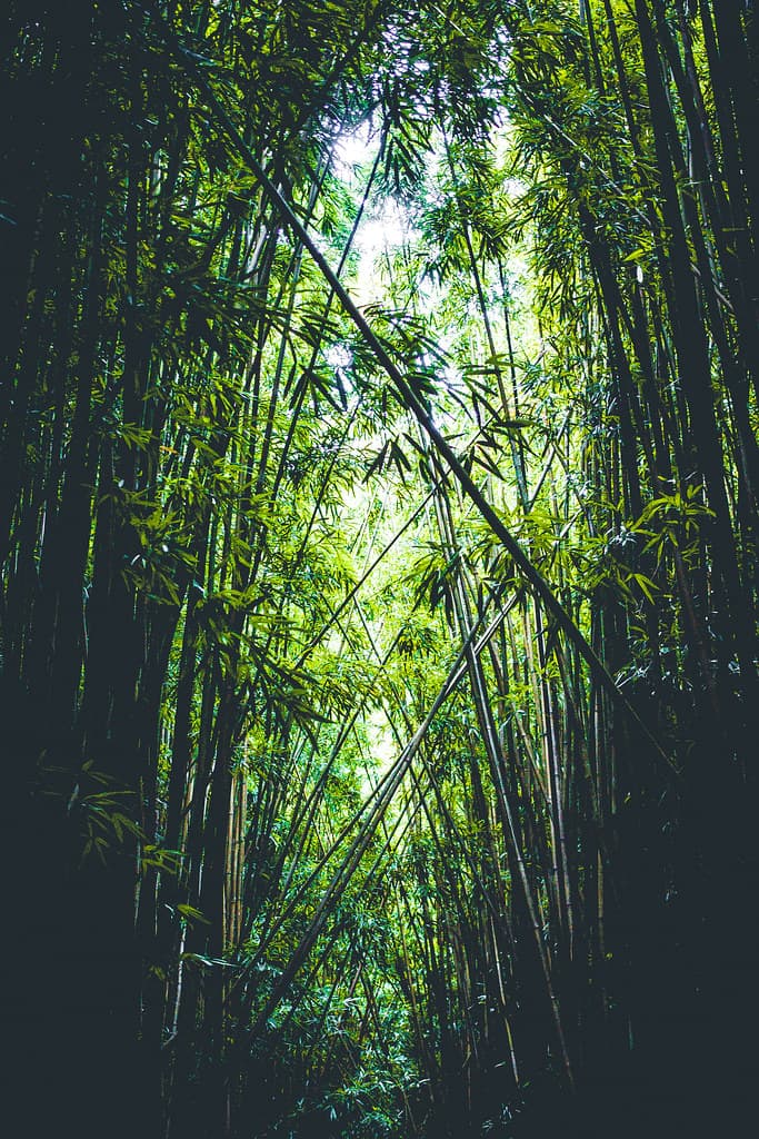 Haleakalā National Park, Hawaii