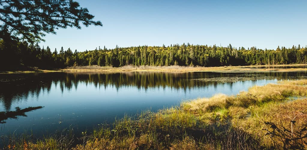 Parc national de la Mauricie, Quebec