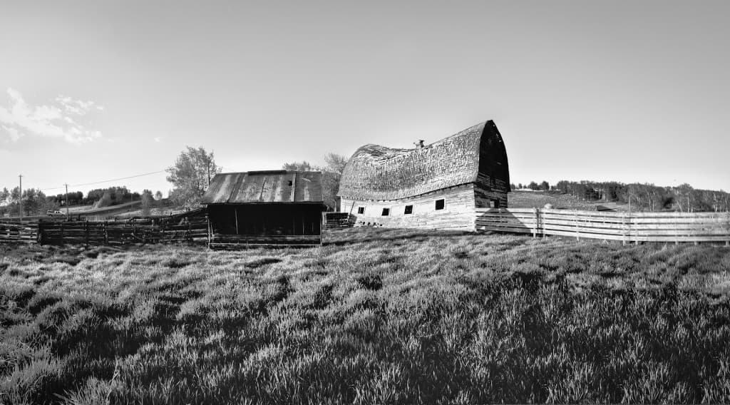 Alberta Farm